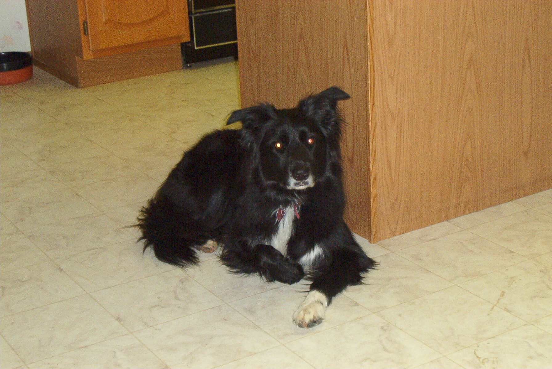 Kane Waiting