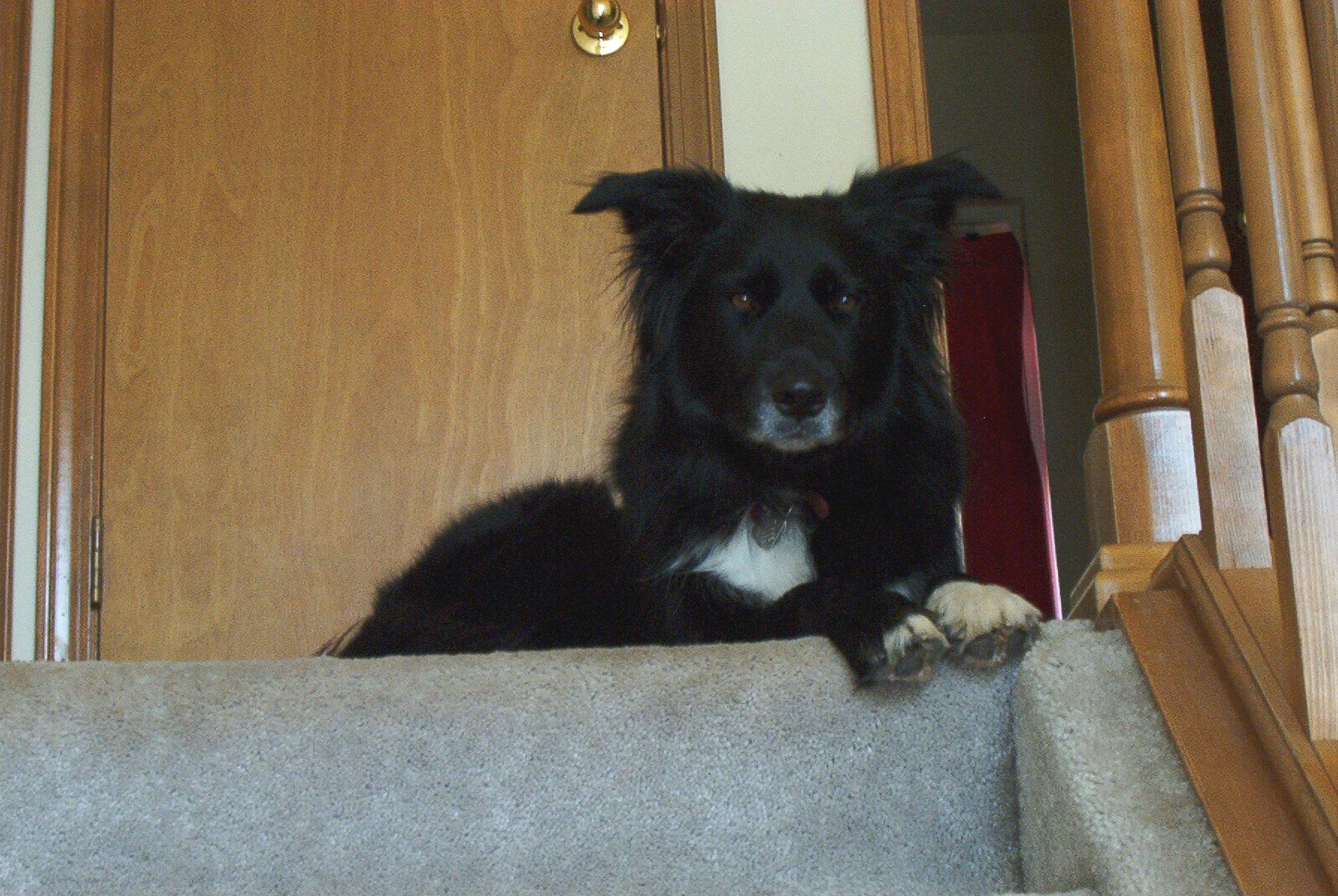 Kane Top of the stairs
